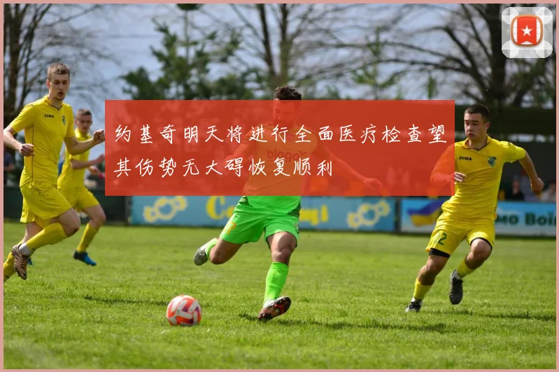 约基奇明天将进行全面医疗检查望其伤势无大碍恢复顺利
