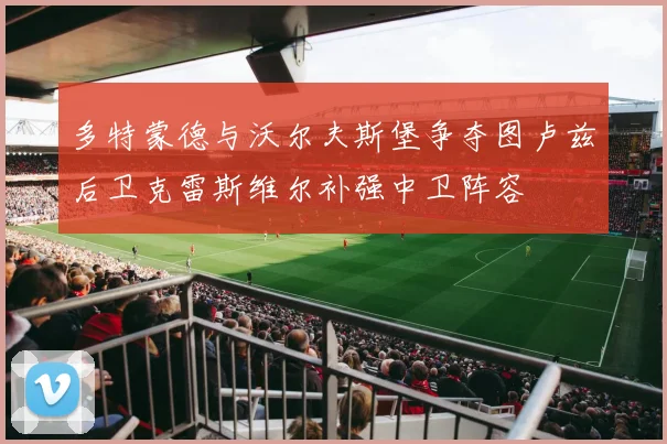 多特蒙德与沃尔夫斯堡争夺图卢兹后卫克雷斯维尔补强中卫阵容