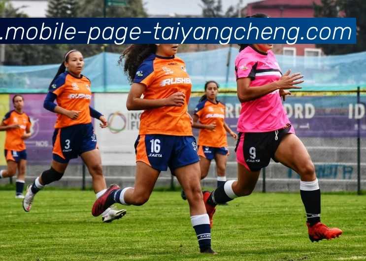 太阳城发展历程